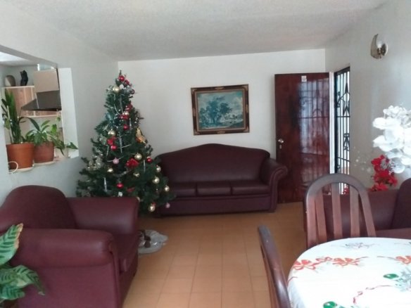 Los Samanes en Merida - Amoblados.co
