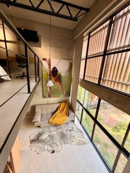 Loft en Juanambú Amoblado en Cali - Amoblados.co